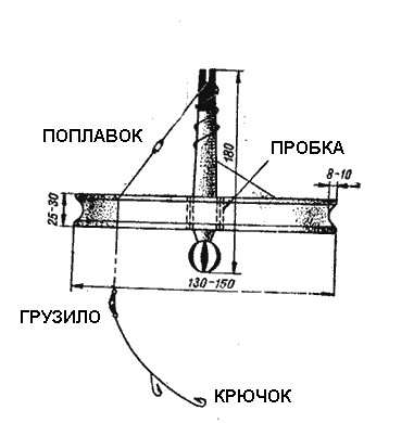 когда ловят на кружки когда ловят на кружки